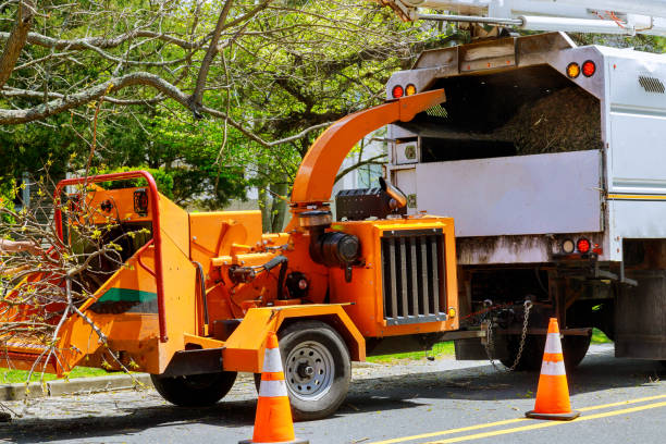 North Prairie, WI  Tree Services Company